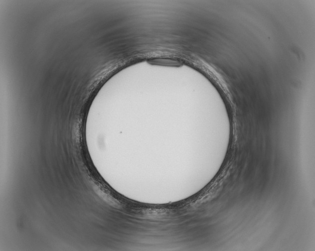 X0000111610105200908281059