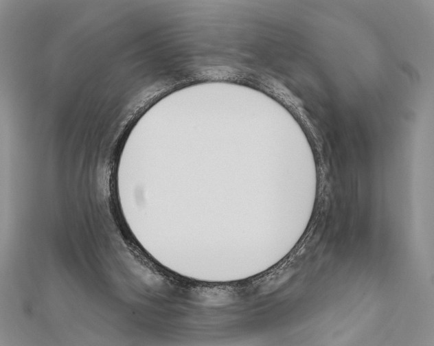 X0000111610106200908281059