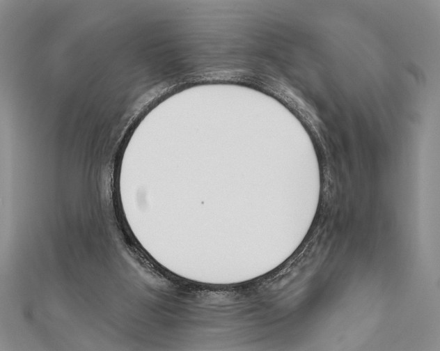X0000111610107200908281059