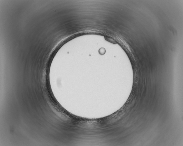 X0000111610108200908281059