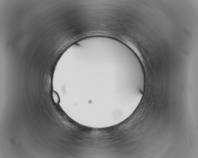 X0000111610109200908281059