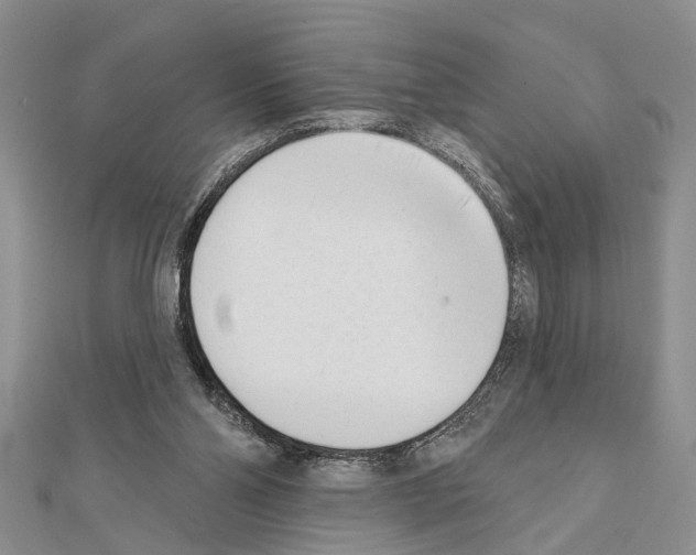 X0000111610110200908281059