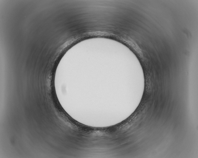 X0000111610111200908281059