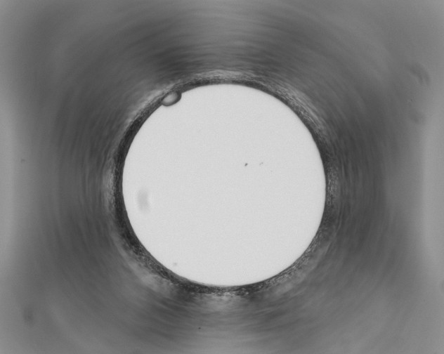 X0000111610112200908281059