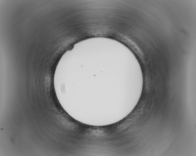 X0000111610113200908281059