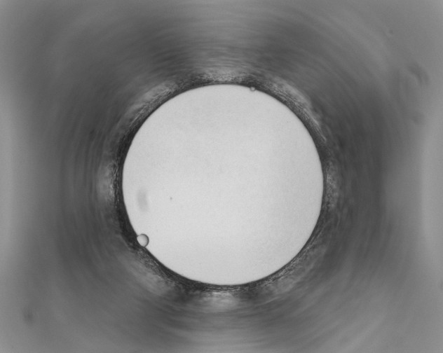 X0000111610114200908281059