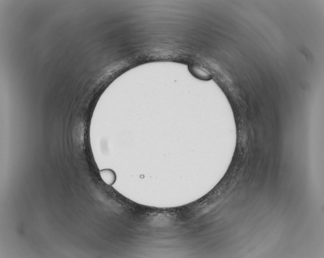 X0000111610115200908281059