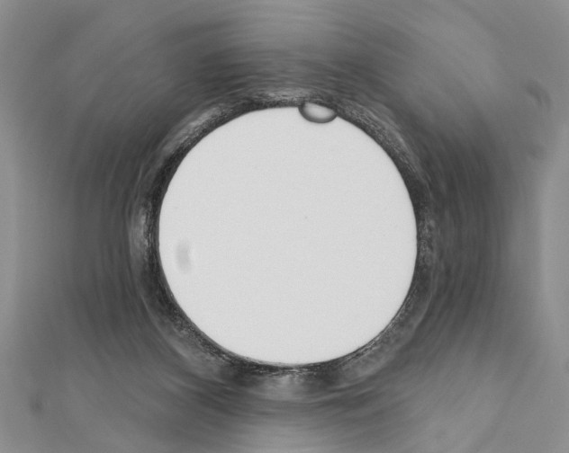X0000111610116200908281059