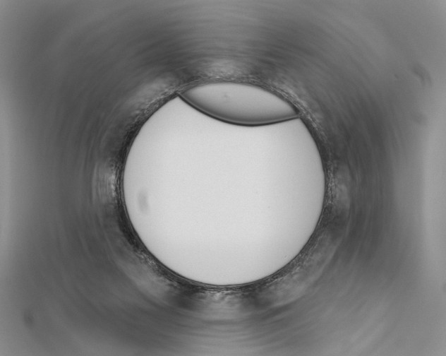 X0000111610117200908281059