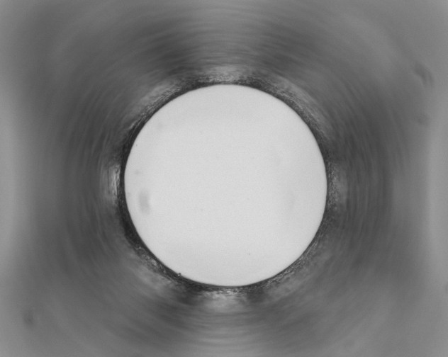 X0000111610118200908281059