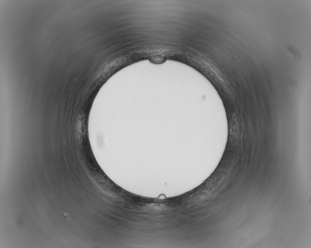 X0000111610119200908281059