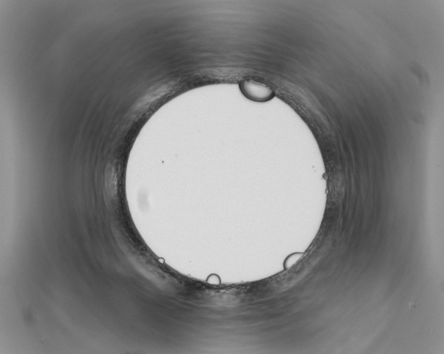 X0000111610120200908281059