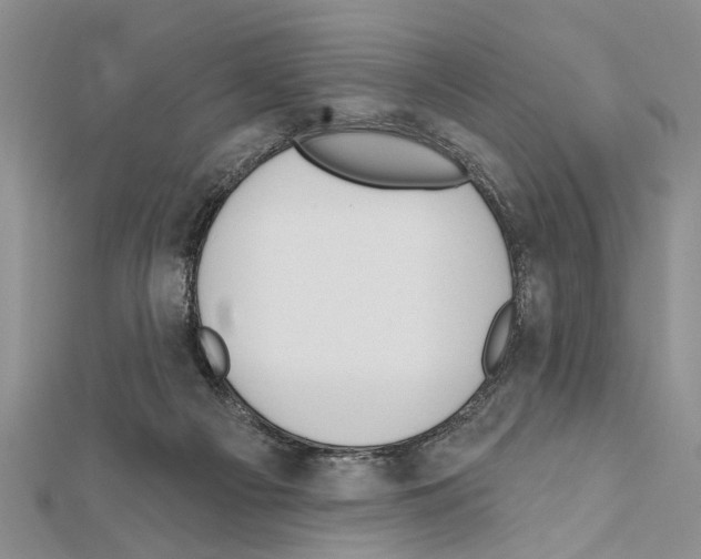X0000111610121200908281059