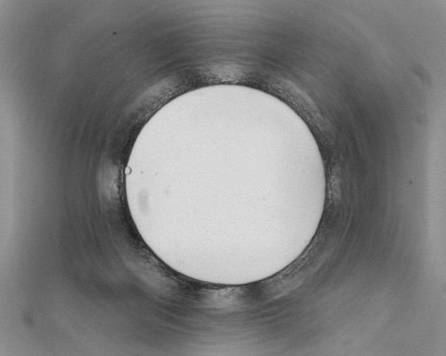X0000111610122200908281059