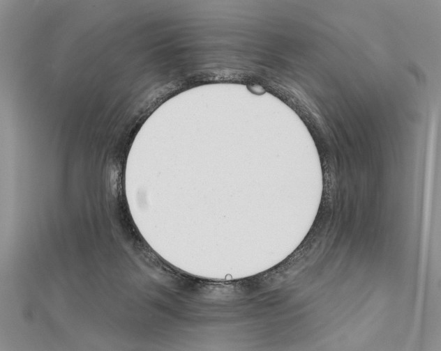 X0000111610123200908281059