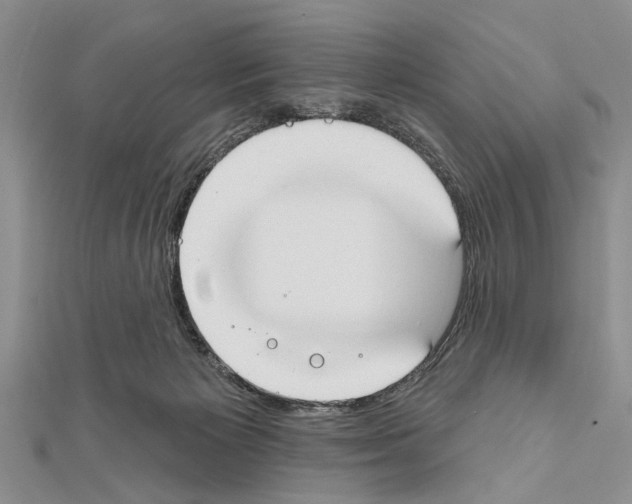 X0000111610125200908281059