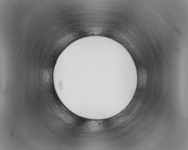 X0000111610126200908281059