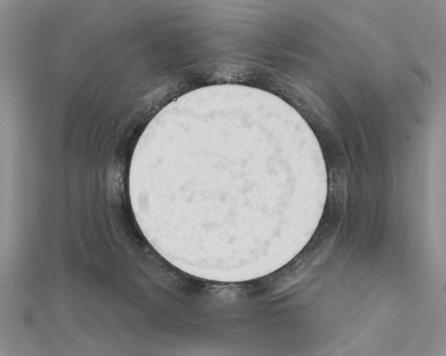 X0000111610127200908281059