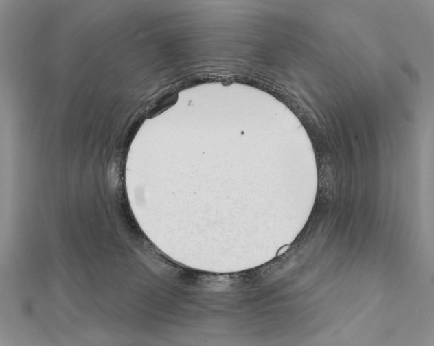 X0000111610131200908281059