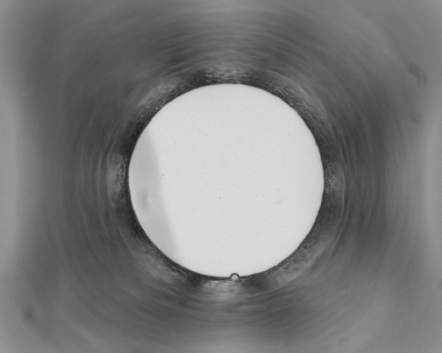 X0000111610133200908281059
