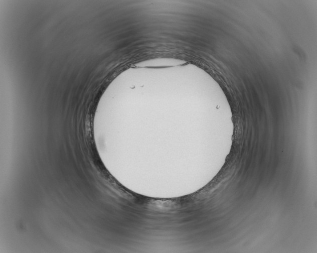 X0000111610137200908281059