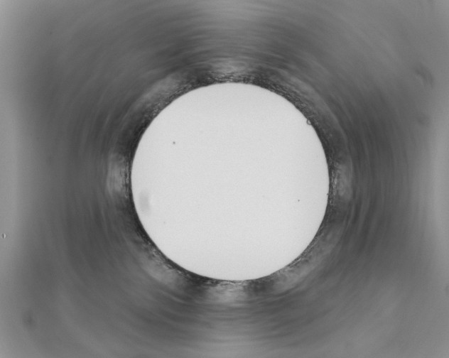 X0000111610138200908281059
