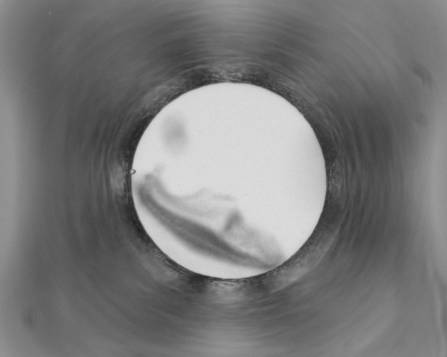 X0000111610139200908281059