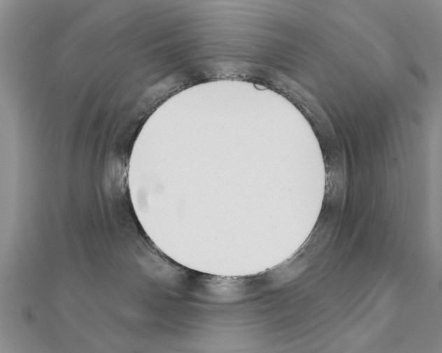 X0000111610142200908281059