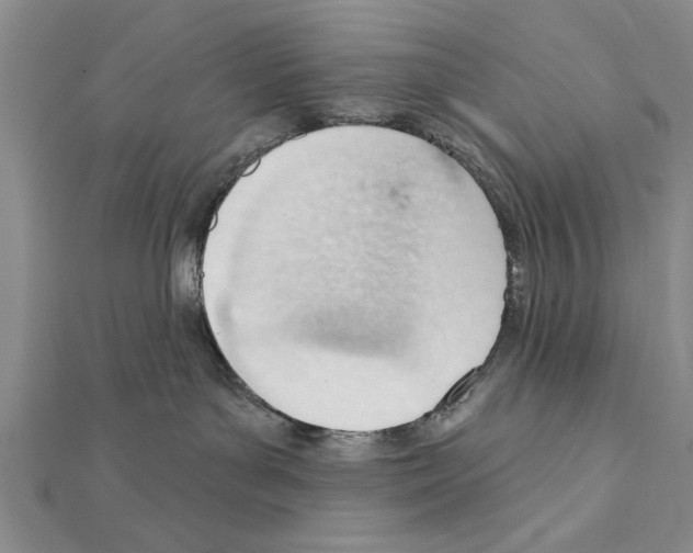 X0000111610143200908281059