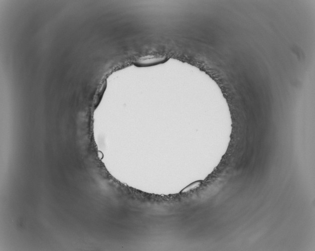 X0000111610144200908281059