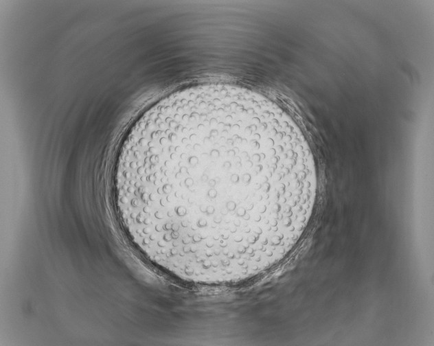 X0000111610145200908281058