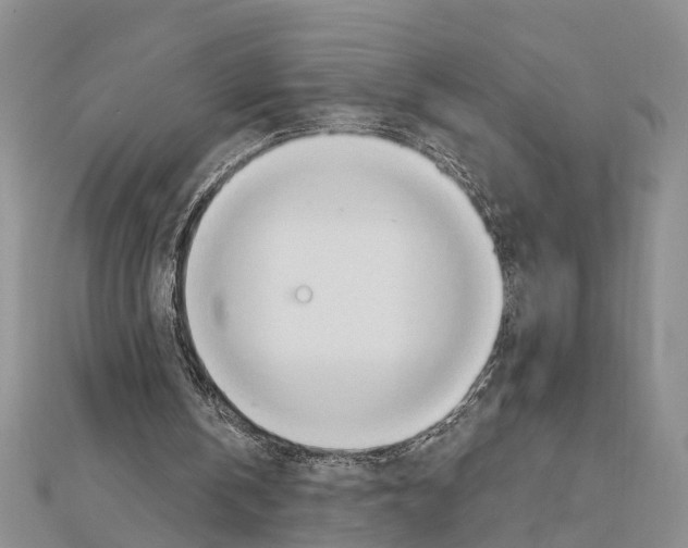 X0000111610146200908281058