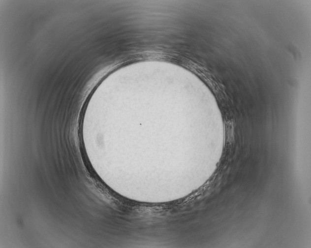 X0000111610147200908281058