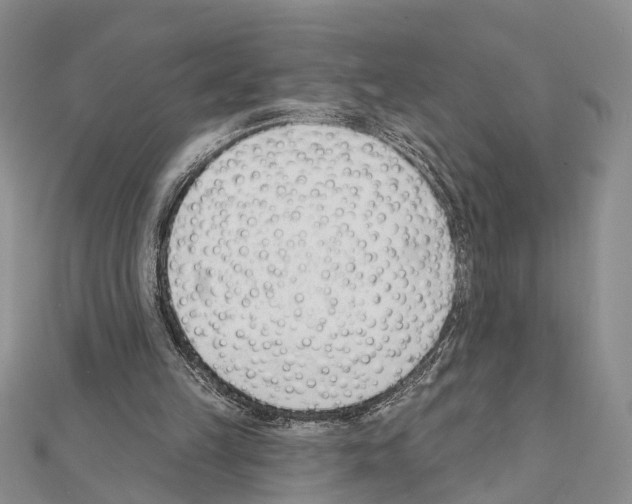 X0000111610149200908281058