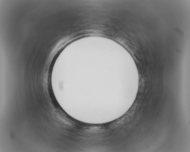 X0000111610151200908281058