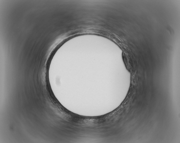 X0000111610152200908281058