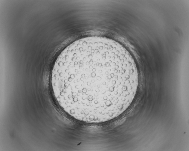 X0000111610153200908281058