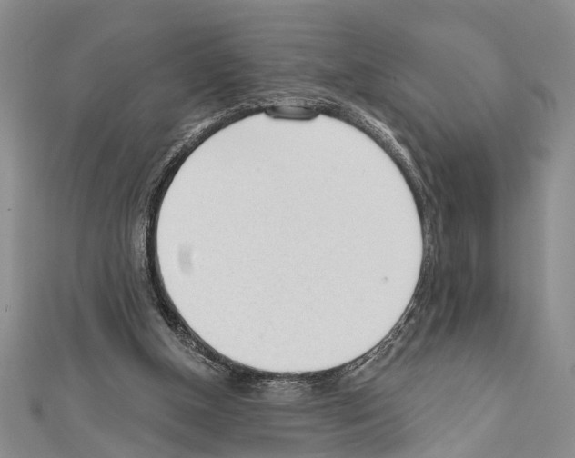 X0000111610154200908281058