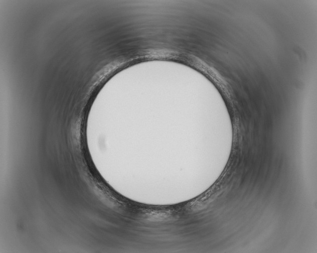 X0000111610155200908281058