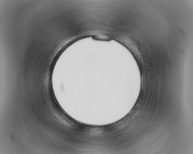 X0000111610156200908281058
