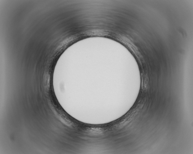 X0000111610157200908281058