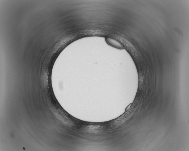 X0000111610158200908281058
