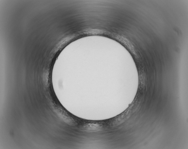 X0000111610159200908281058
