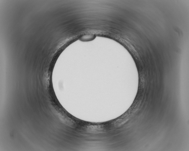 X0000111610160200908281058