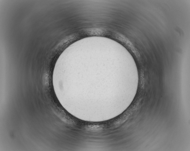 X0000111610161200908281058