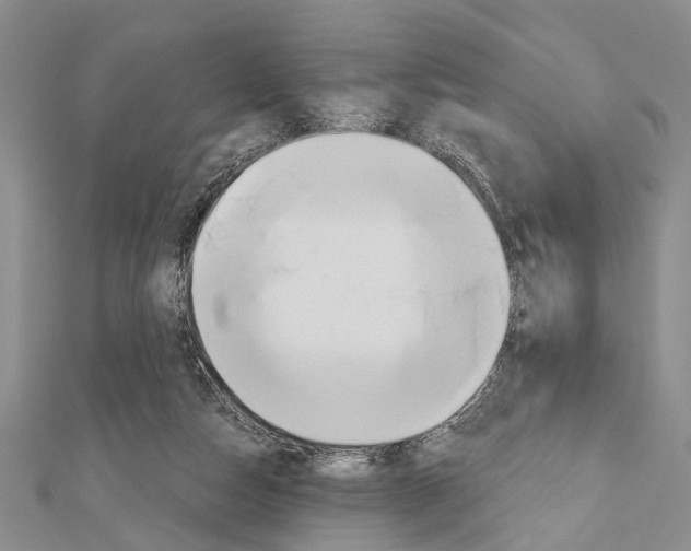 X0000111610162200908281058