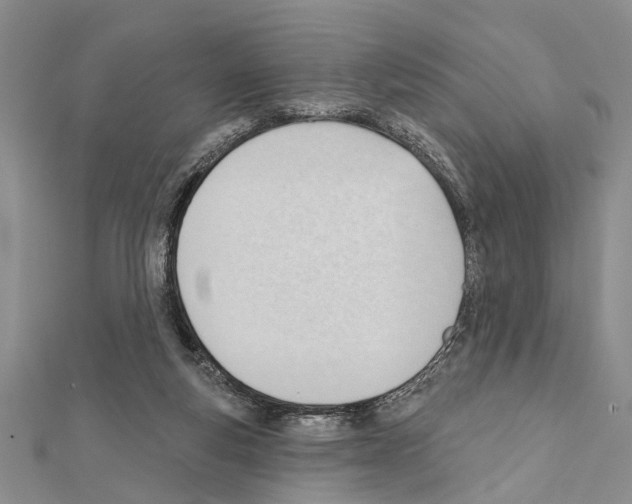 X0000111610163200908281058