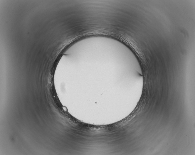 X0000111610164200908281058