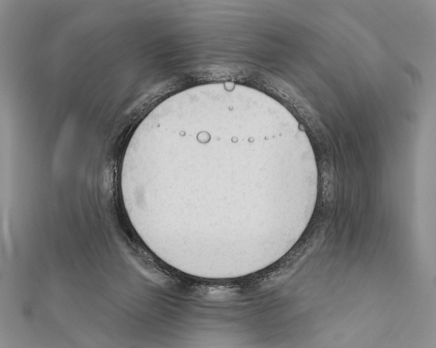 X0000111610165200908281058