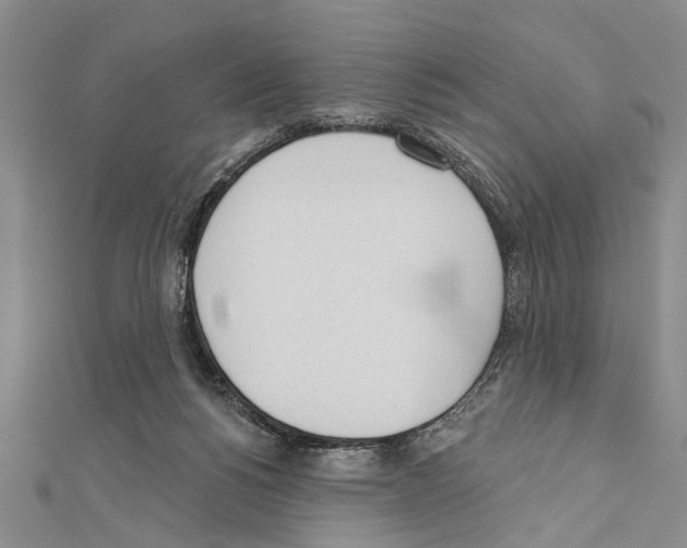X0000111610168200908281058